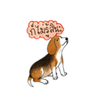 Funny Beagle (Thai version)（個別スタンプ：15）