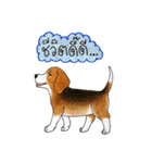 Funny Beagle (Thai version)（個別スタンプ：18）