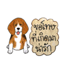 Funny Beagle (Thai version)（個別スタンプ：20）