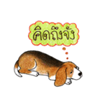 Funny Beagle (Thai version)（個別スタンプ：23）