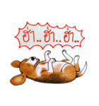 Funny Beagle (Thai version)（個別スタンプ：25）