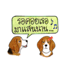 Funny Beagle (Thai version)（個別スタンプ：26）