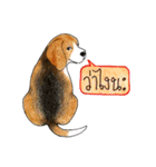 Funny Beagle (Thai version)（個別スタンプ：28）