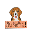 Funny Beagle (Thai version)（個別スタンプ：29）