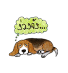 Funny Beagle (Thai version)（個別スタンプ：31）