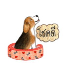 Funny Beagle (Thai version)（個別スタンプ：32）