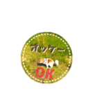 チワワのトアすん（個別スタンプ：3）