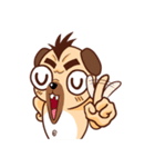 Nemo The Lovely Pug（個別スタンプ：16）