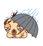 Nemo The Lovely Pug（個別スタンプ：39）