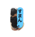 蒼太郎ー3（個別スタンプ：14）