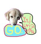 Noo Mee Ngern Paa Ruay（個別スタンプ：7）