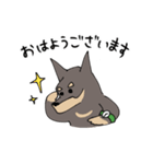 雑種犬のあきさん（個別スタンプ：1）