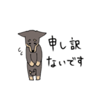 雑種犬のあきさん（個別スタンプ：6）