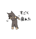 雑種犬のあきさん（個別スタンプ：7）
