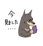 雑種犬のあきさん（個別スタンプ：13）