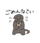 雑種犬のあきさん（個別スタンプ：31）