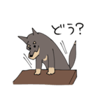 雑種犬のあきさん（個別スタンプ：33）
