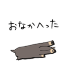 雑種犬のあきさん（個別スタンプ：35）