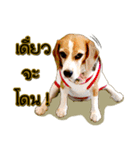 Beagle Sam Saeb（個別スタンプ：14）