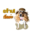 Beagle Sam Saeb（個別スタンプ：37）