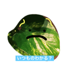 おねがいがあります（個別スタンプ：20）