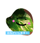 おねがいがあります（個別スタンプ：23）