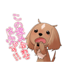 犬のチョコくん その4（個別スタンプ：38）