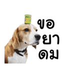 Chanom Dog Der（個別スタンプ：19）