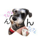愉快なanimals（個別スタンプ：3）
