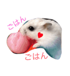 愉快なanimals（個別スタンプ：4）