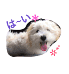 愉快なanimals（個別スタンプ：7）