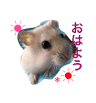 愉快なanimals（個別スタンプ：9）