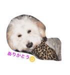 愉快なanimals（個別スタンプ：10）