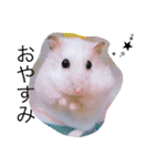 愉快なanimals（個別スタンプ：12）