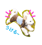 愉快なanimals（個別スタンプ：18）