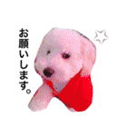 愉快なanimals（個別スタンプ：19）