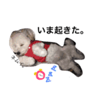 愉快なanimals（個別スタンプ：20）