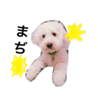 愉快なanimals（個別スタンプ：22）