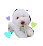 愉快なanimals（個別スタンプ：23）