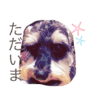 愉快なanimals（個別スタンプ：24）
