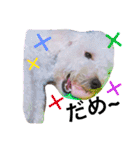 愉快なanimals（個別スタンプ：32）