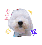 愉快なanimals（個別スタンプ：34）