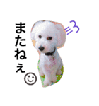 愉快なanimals（個別スタンプ：36）