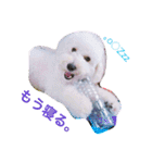 愉快なanimals（個別スタンプ：37）
