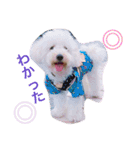 愉快なanimals（個別スタンプ：38）