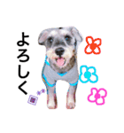 愉快なanimals（個別スタンプ：39）