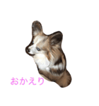 ラズ（個別スタンプ：4）