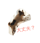 ラズ（個別スタンプ：11）