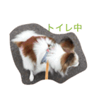 ラズ（個別スタンプ：20）