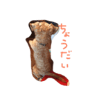 ノイちゃん（個別スタンプ：1）